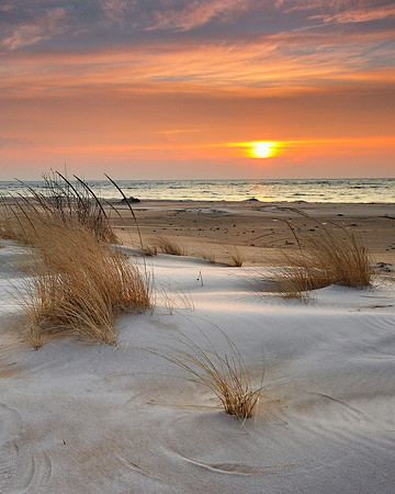lake huron dune grass sunrise-Vertical