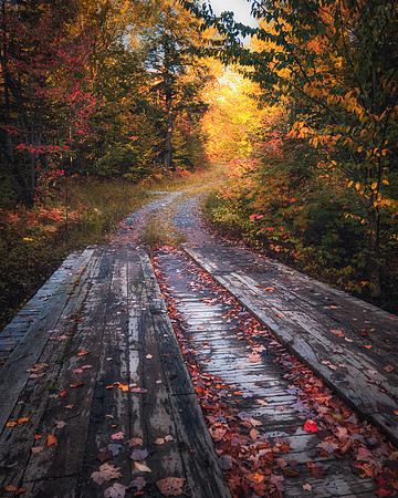 Old Bridge on an Upper Michigan Forest Road