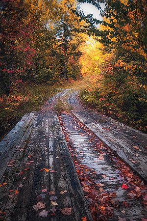 Bridge on a forest trail -Baraga County Michigan