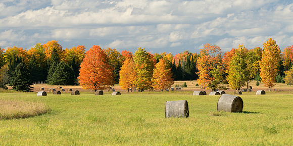 Autumn field with Hay Bales