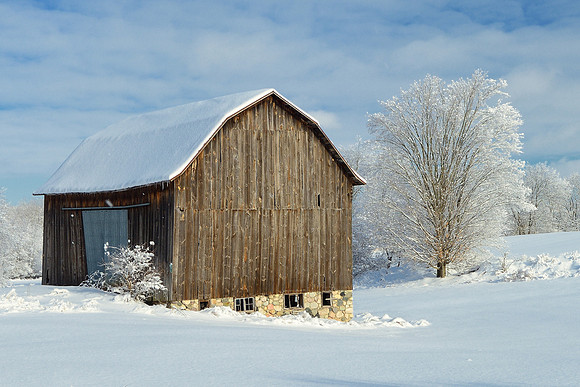 Snowy Winter barn near Vestaburg Michigan
