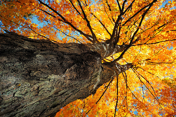 Fall is in the air!