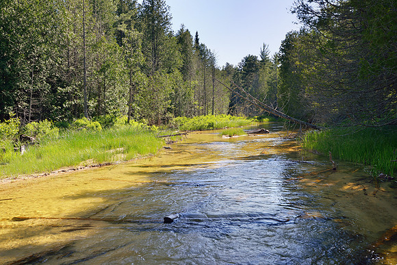 Beaver Creek, Beaver Basin Wilderness Pictured Rocks National Lakeshore