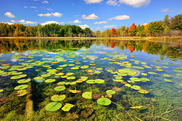 "Autumn Calm" Brockway Lake, Lower Michigan