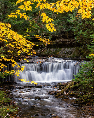 Mosquito Falls-Autumn Vertical