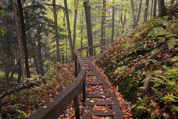 Trail leading to the Black River in the Ottawa National Forest