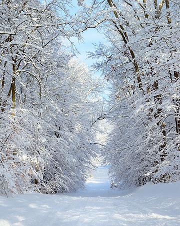 "Country Roads"  Snowy Michigan back road   ( Winter Gallery )
