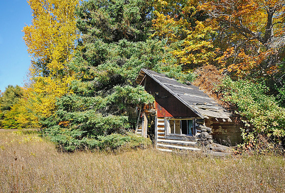 Old Cabin near the Cut River being reclaimed by nature. Michigan's Upper Peninsula
