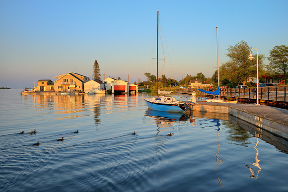 Ducks by the Docks - Copper Harbor, Michigan
