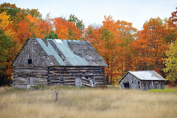 Old hand hewn log cabin rural Upper Michigan