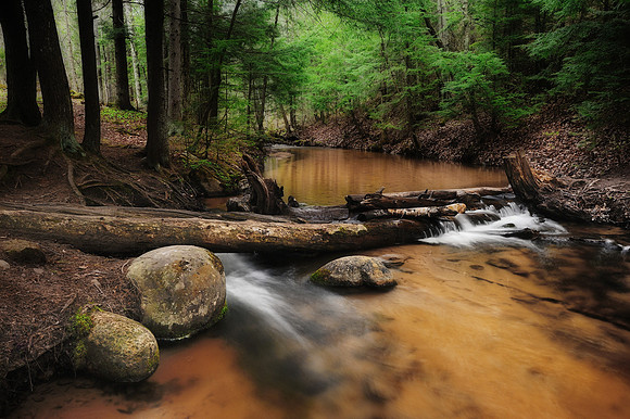 "forest Brook"Morgan Creek Marquette , Michigan