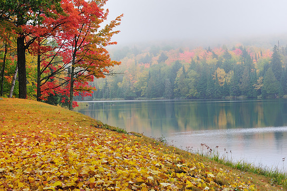 Foggy reflections, Autumn in Michigan's Upper Peninsula
