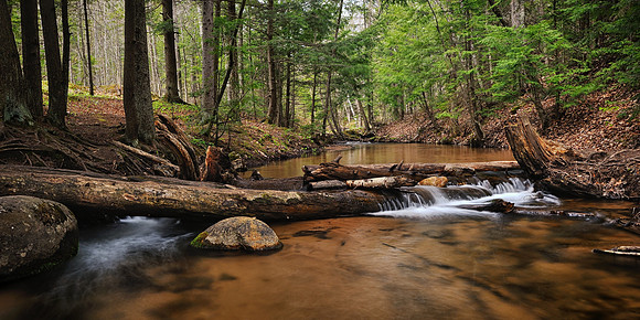 Morgan Creek near Marquette Michigan