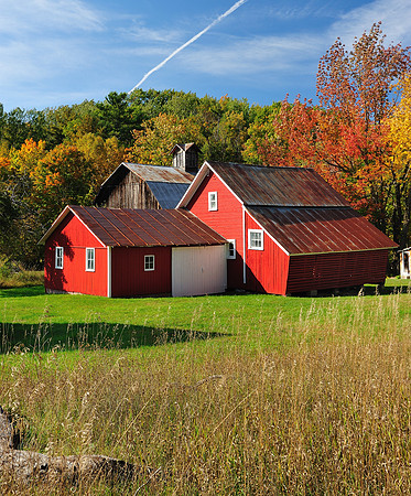 "The Bufka barns"  Sleeping Bear Dunes National Lakeshore