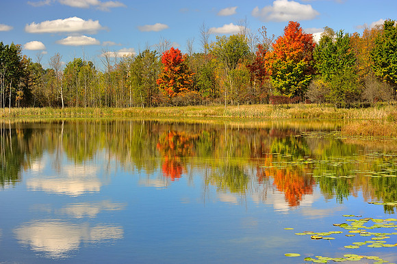 "Autumn's Quiescence"
