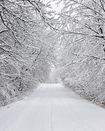 Snowy Winter road in Michigan's Montcalm County