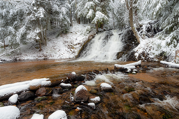 Morga Falls-winter-evergreens