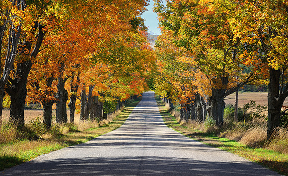 "An Autumn's Drive" Day Farm Road - Sleeping Bear Dunes National Lakeshore